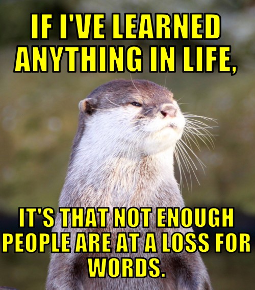 HasBenAgain's tweet image. 