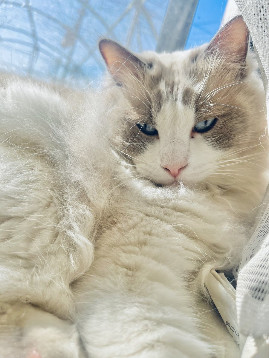 イケメンすぎてトゥンク✨️