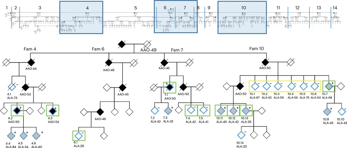 Xihao Li (@xihaoli) on Twitter photo A fascinating new study just published online today in <a href="/NatureMedicine/">Nature Medicine</a> reports an extraordinary case of an individual carrying the PSEN2 (p.Asn141Ile) mutation—a known driver of dominantly inherited Alzheimer’s disease (DIAD)—who remained cognitively healthy well into his A fascinating new study just published online today in <a href="/NatureMedicine/">Nature Medicine</a> reports an extraordinary case of an individual carrying the PSEN2 (p.Asn141Ile) mutation—a known driver of dominantly inherited Alzheimer’s disease (DIAD)—who remained cognitively healthy well into his