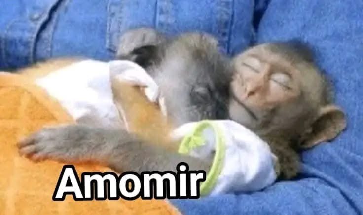 aimee_ofarrill's tweet photo. Descansen mis terrícolas!!!

Deseo que su crush sea el mismo con quien comparten la camita. https://t.co/mg4uwXAepW