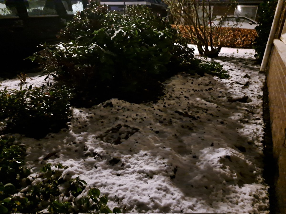 Goedemorgen vanuit een licht winters Zwolle met een dun laagje sneeuw! #sneeuw #Zwolle #Westenholte