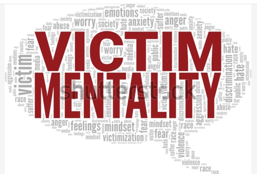 N🅰️TIVE tweet media