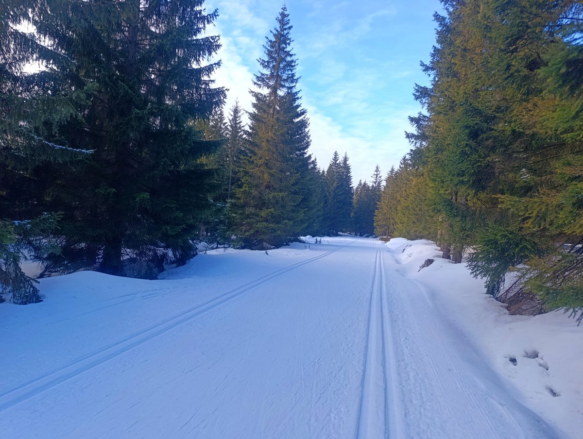 Bieg Piastów tweet media