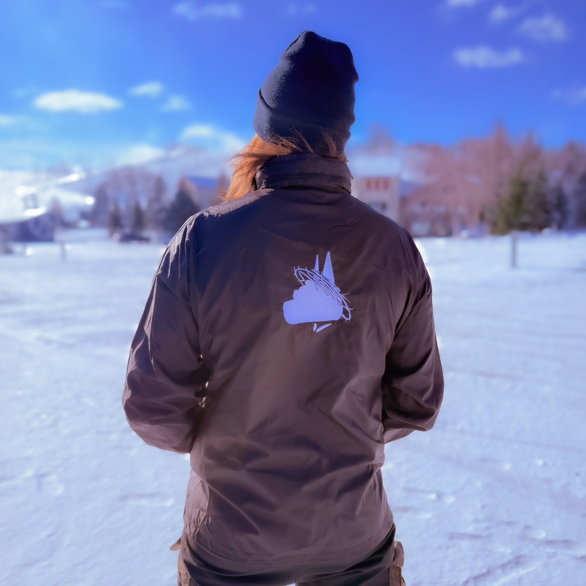 HalfAssedDesign's tweet photo. @SyntheVisuals Prolly this windbreaker I designed, if that counts 😜 https://t.co/WD2m7V4Qvn