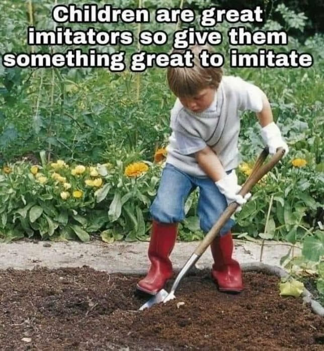 Bee’s Little Ranch tweet media