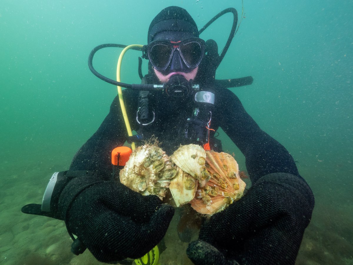 Port of Melbourne tweet media