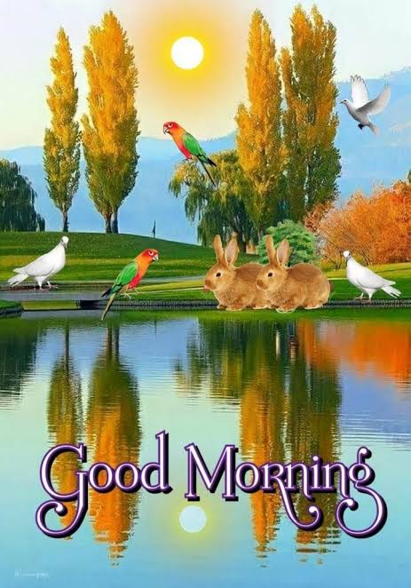 KF🌾KHAN🖊️iPian 🤍 tweet media