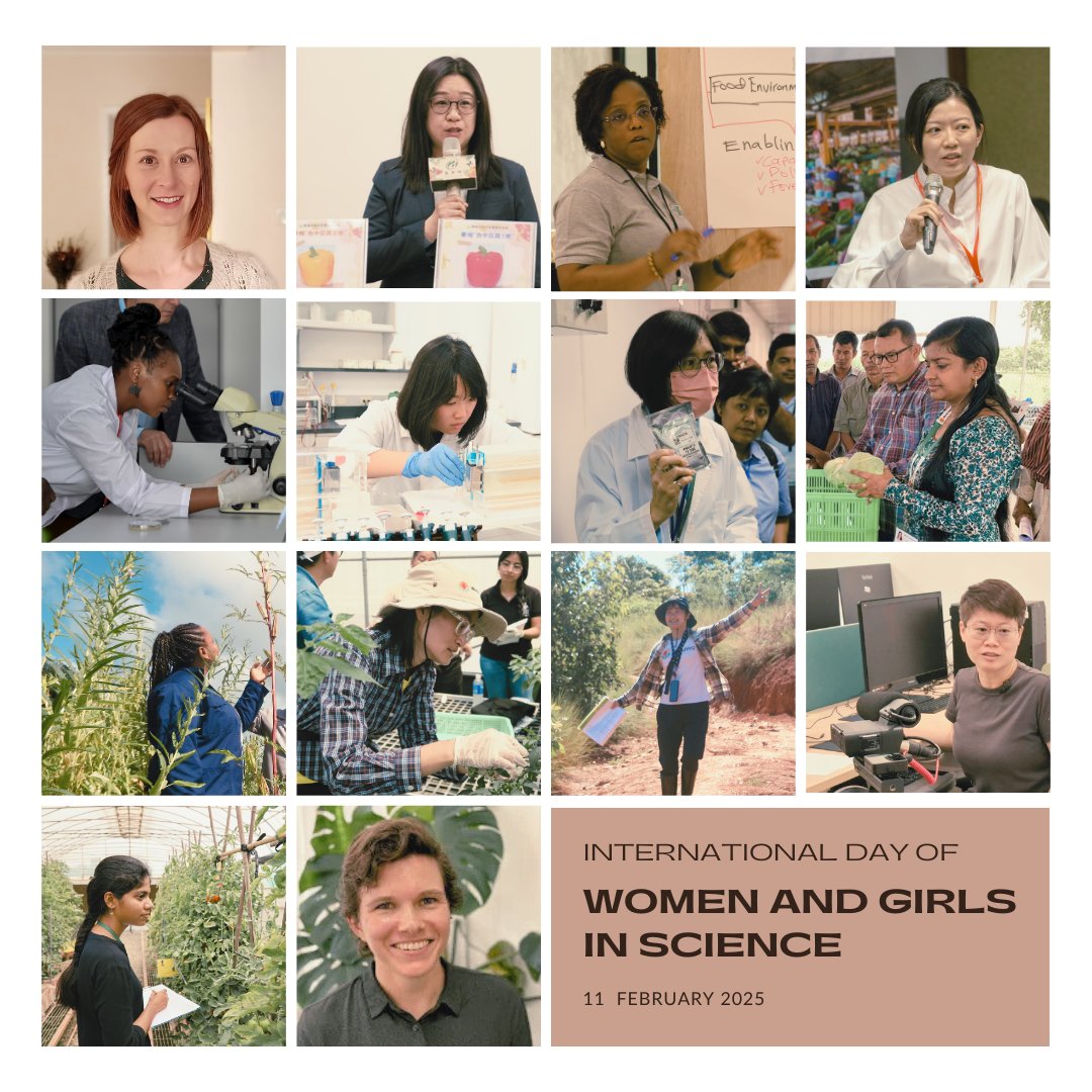 World Vegetable Center (WorldVeg) (@worldvegcenter) on Twitter photo Meet some of the incredible women in our team! Their research is driving healthier lives & more resilient livelihoods through groundbreaking work in pathology, entomology, genetic resources, plant breeding, nutrition, and postharvest. Thank you for being so dedicated!π©βπ¬π©π»βπ¬π©πΌβπ¬π©π½βπ¬π©πΏβπ¬ Meet some of the incredible women in our team! Their research is driving healthier lives & more resilient livelihoods through groundbreaking work in pathology, entomology, genetic resources, plant breeding, nutrition, and postharvest. Thank you for being so dedicated!π©βπ¬π©π»βπ¬π©πΌβπ¬π©π½βπ¬π©πΏβπ¬
