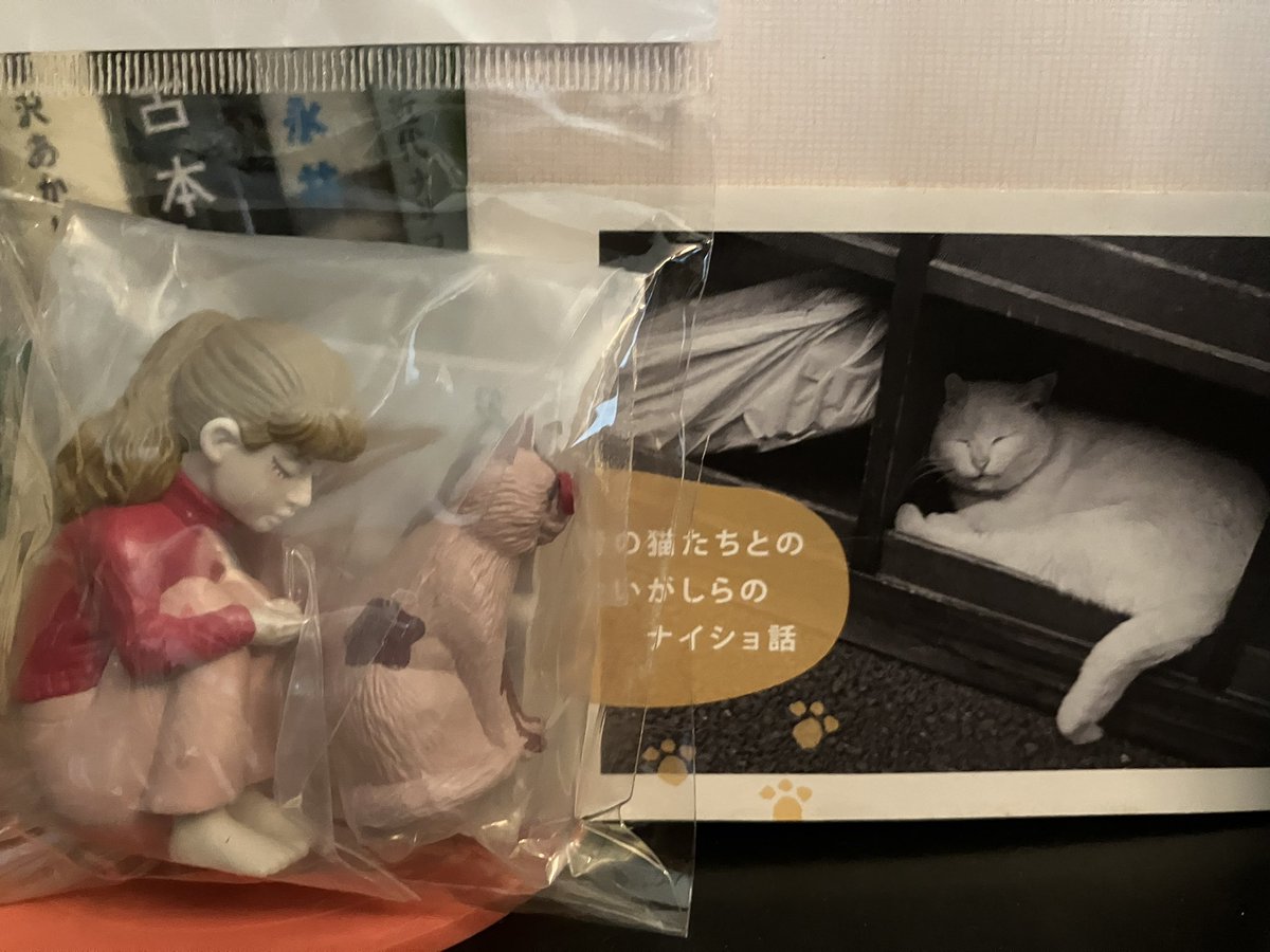 #猫フィギュア
#カプセルトイ
#隙あらば猫
#猫と花