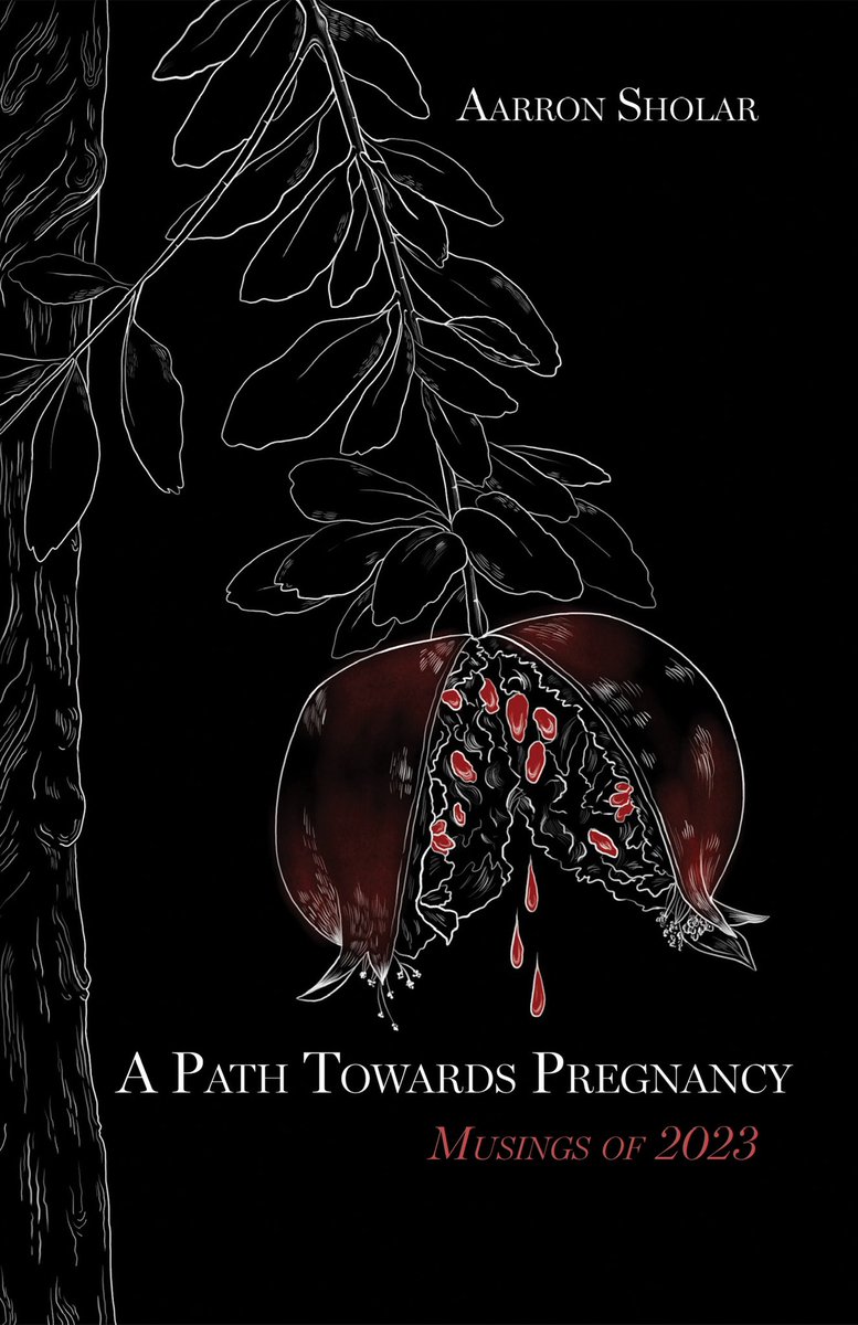 Do you want a quick read that will really make you think about conception and parenthood in a different way? Preorder A PATH TOWARDS PREGNANCY! 

finishinglinepress.com/product/a-path…

#WritingCommunity #poetry #prose