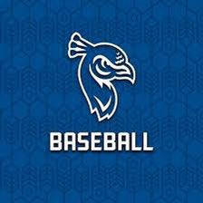 Blessed to receive a division 1 offer to play baseball at Saint Peter’s university!! #gopeacocks #offered