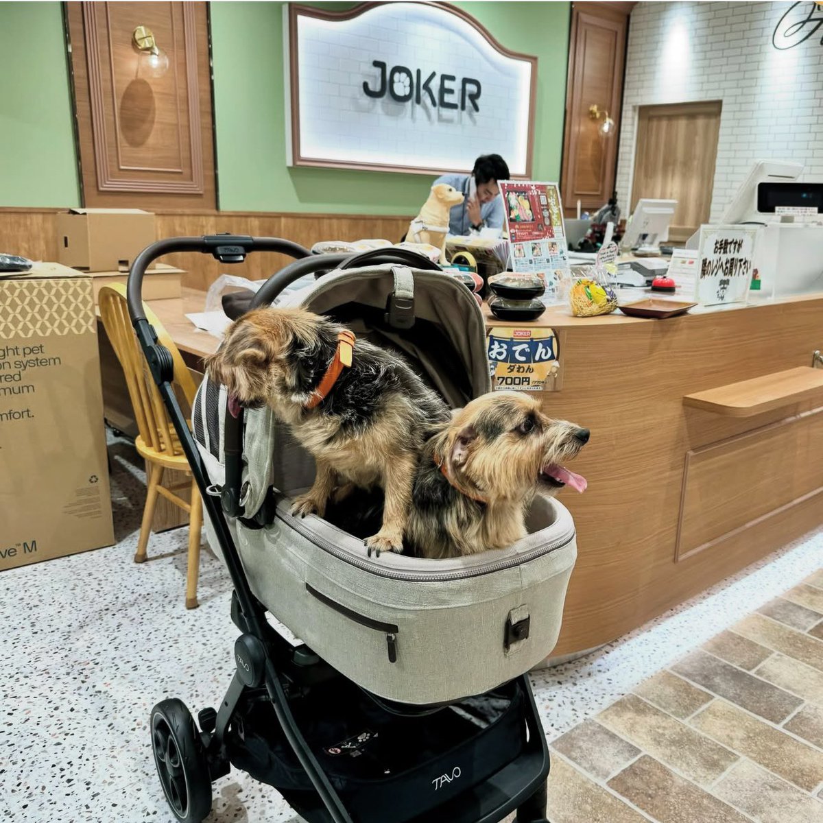 大谷選手の愛犬デコピンくんが使っているペットカートを購入してみまし
