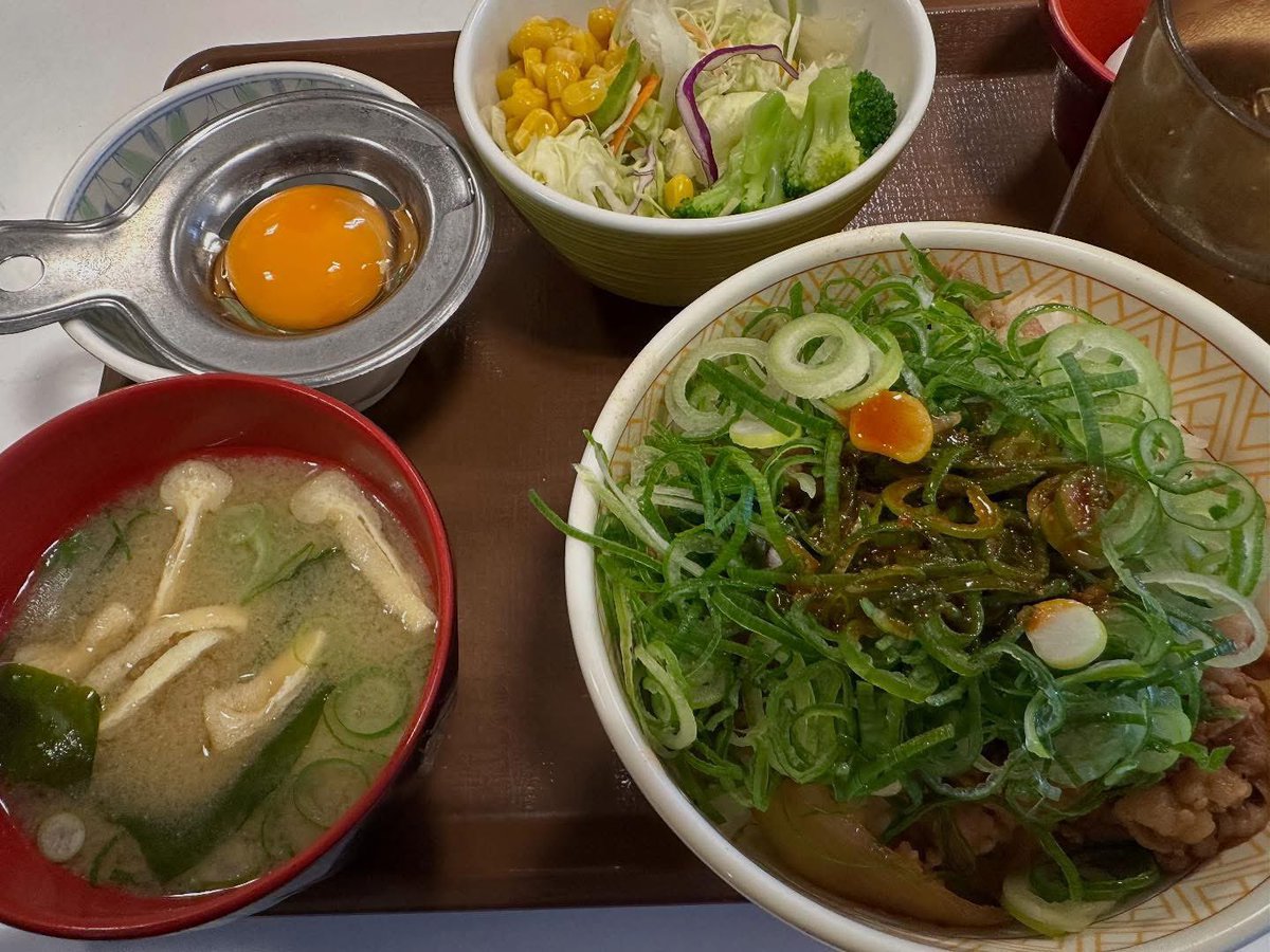 久しぶりにすき家〜
ネギ玉牛丼大盛りサラダ味噌汁セットやっぱクソ安定だわ〜😂