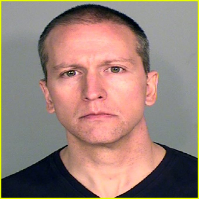 Should Derek Chauvin be pardoned by President Trump?  

Yes or No?