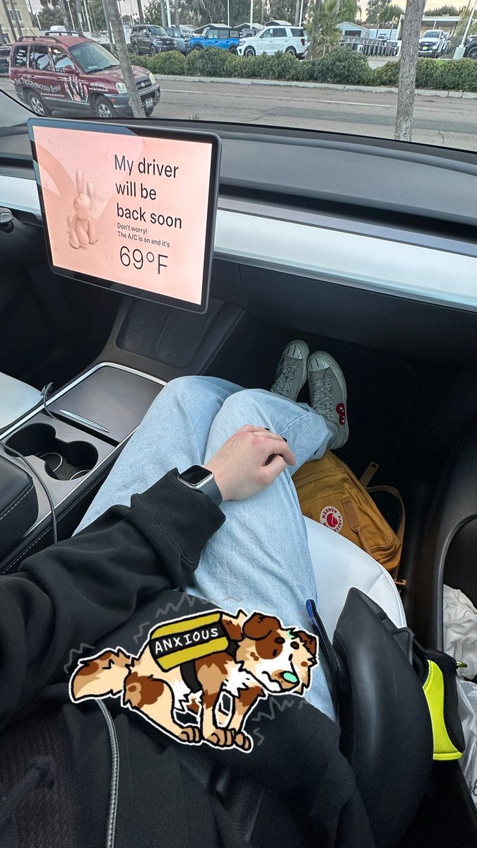 im a dog in the hot car