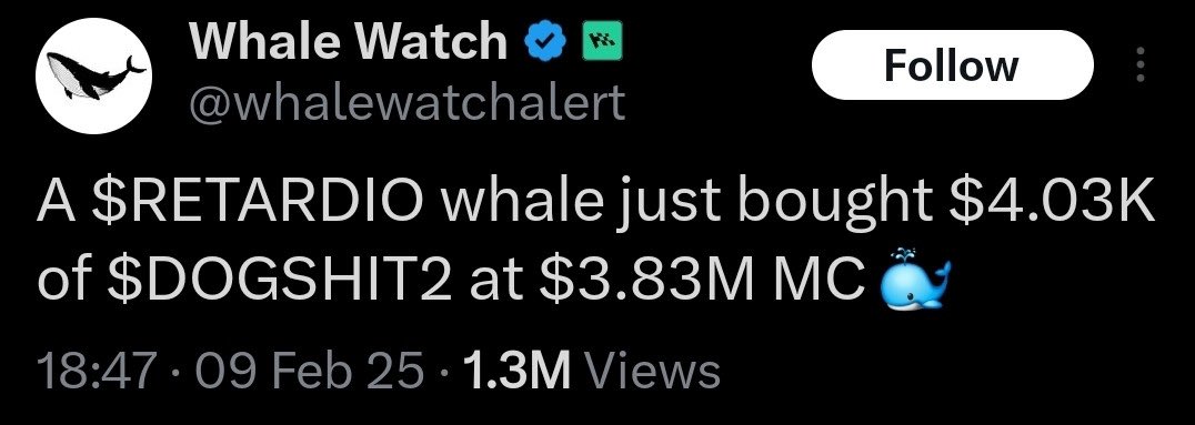 What are we doing here?