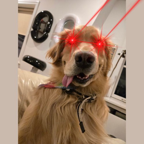 <a href="/NikolaBench/">Dr. Hodl 💎</a> Come help Mayo the dog gets  famous @sexicryptogirl 

🚀🚀 $WAGMIwood

EmCCGHynozfZSkre99eQEkGWtvAYicaJVarxgTDVpump