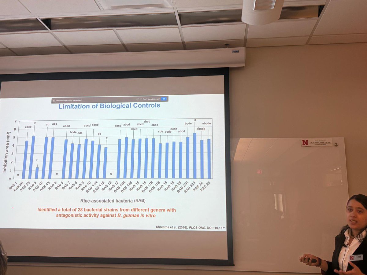 UNL Plant Path Grads (@unlplantpath) on Twitter photo From fighting plant pathogens to unlocking microbial superpowers, todayâs seminar was nothing short of inspiring! Big shoutout to <a href="/Siludahal/">Shilu Dahal</a> from <a href="/Rojas/">Eric Rojas</a> lab for an engaging talk on biocontrol of plant pathogens. Sometimes, even superheroes need help just like our microbes! đ±đŠ From fighting plant pathogens to unlocking microbial superpowers, todayâs seminar was nothing short of inspiring! Big shoutout to <a href="/Siludahal/">Shilu Dahal</a> from <a href="/Rojas/">Eric Rojas</a> lab for an engaging talk on biocontrol of plant pathogens. Sometimes, even superheroes need help just like our microbes! đ±đŠ