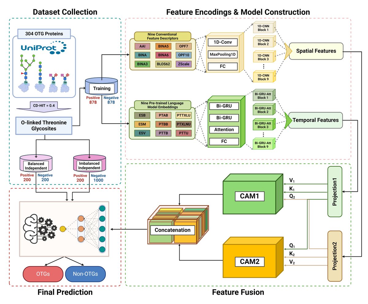 Nhat Truong Pham (@nhattruong_pham) on Twitter photo 🎉🎉🎉 I am thrilled to share our recent publication in <a href="/JMolBiol/">Journal of Molecular Biology</a>, which introduces DOGpred, a framework that utilizes a dual cross-attention mechanism to integrate the spatial and temporal feature representations derived from conventional feature descriptors and pre-trained 🎉🎉🎉 I am thrilled to share our recent publication in <a href="/JMolBiol/">Journal of Molecular Biology</a>, which introduces DOGpred, a framework that utilizes a dual cross-attention mechanism to integrate the spatial and temporal feature representations derived from conventional feature descriptors and pre-trained