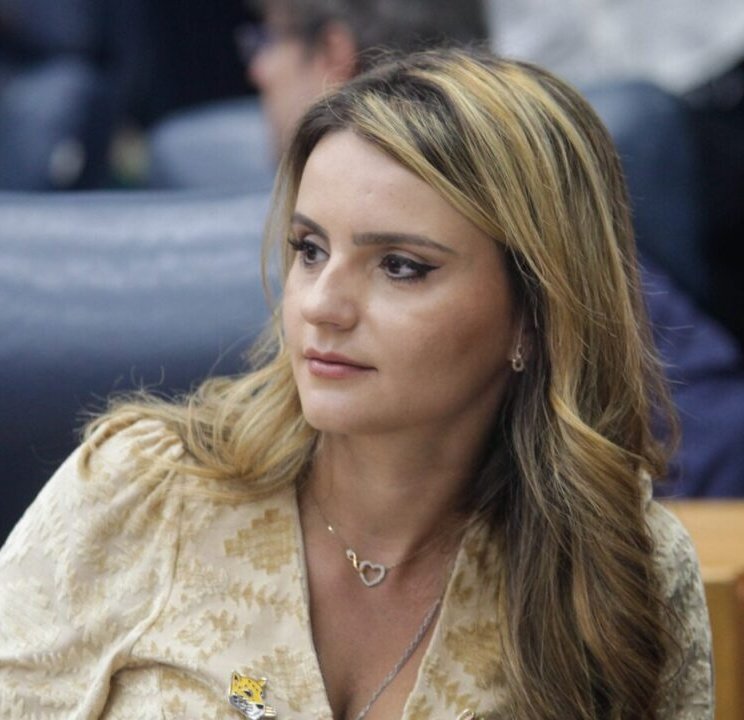 Análise Política (início) tweet media