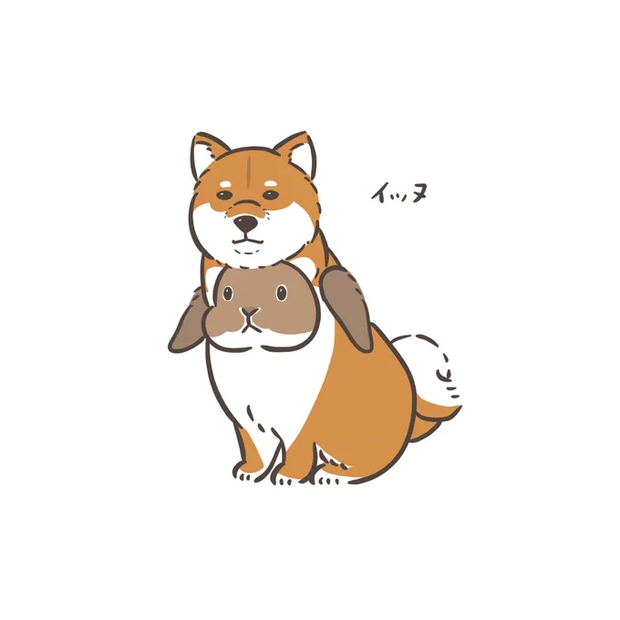うさぎがワンコに変身!#うさぎ #イラスト #犬 #柴犬 #illustlation 
