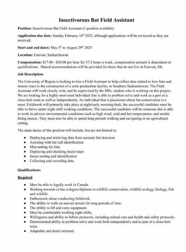 albertabats's tweet photo. #BATJOB
It`s an entry-level job to work on bats in southern Saskatchewan! Work with a graduate student and learn the ropes. Please see the contact information in the posting for more details! https://t.co/RC7YCtMuLm