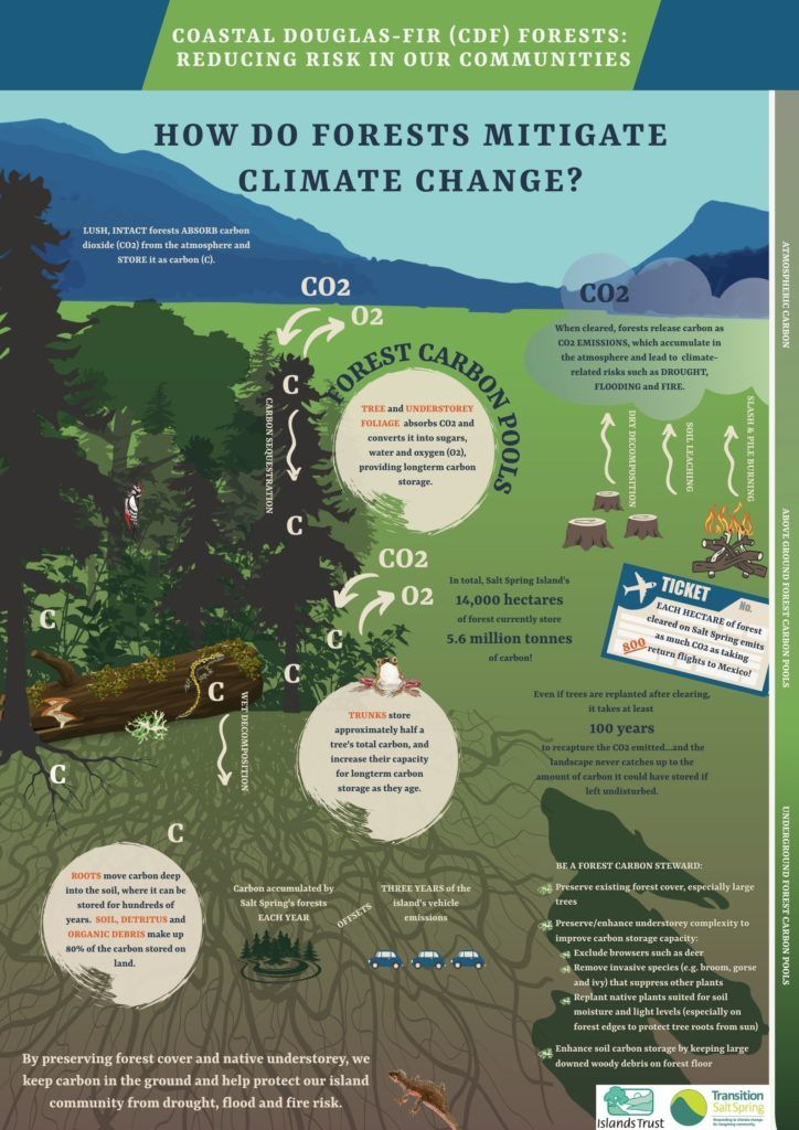 UN Biodiversity (@unbiodiversity) on Twitter photo Forests are vital in fighting climate change by absorbing & storing carbon dioxide. Salt Spring Island’s forests store 5.6 million tonnes of carbon.
Protecting forests, enhancing biodiversity & planting native species are crucial for reducing climate risks
via <a href="/Islands_Trust/">Islands_Trust</a> Forests are vital in fighting climate change by absorbing & storing carbon dioxide. Salt Spring Island’s forests store 5.6 million tonnes of carbon.
Protecting forests, enhancing biodiversity & planting native species are crucial for reducing climate risks
via <a href="/Islands_Trust/">Islands_Trust</a>