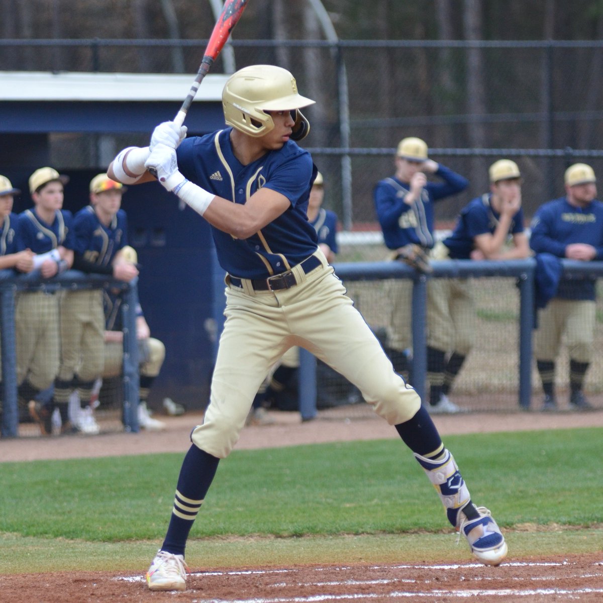 St. Pius X Baseball tweet media