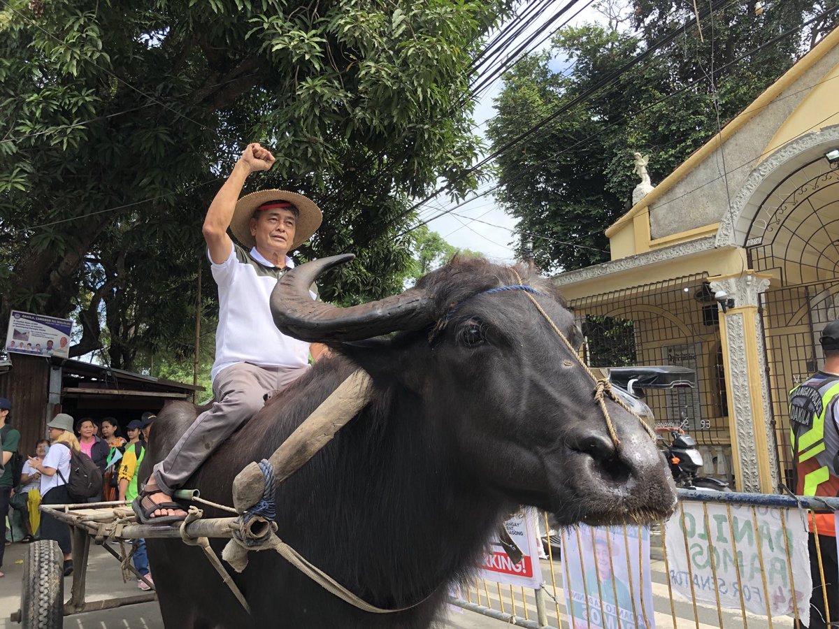 TINGNAN. 

Nakasakay sa kalabaw sa Barangay Dakila, Malolos City, Bulacan, sinimulan ng lider magsasakang si Danilo Ramos ang kanyang kampanya para sa pagka-Senador. Kabilang si Ramos sa 11-kandidatong Senatorial slate ng Makabayan. 

#54RamosSaSenado
#TaumbayanSaSenado
