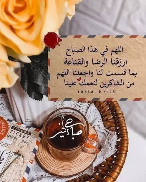 AlfayzRyta's tweet photo. @lsny265975175 https://t.co/qksjQdP4JM