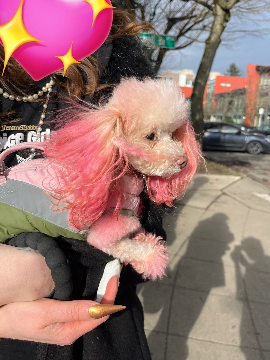 please. look at my friend’s gf’s dog. her name is LASAGNA