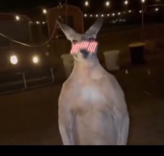 RGamexplorer's tweet image. He was into it