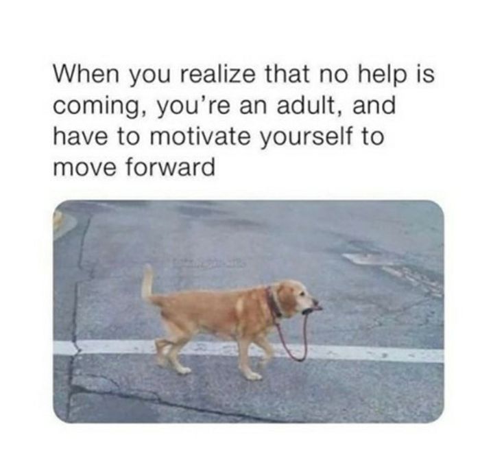 realbobandbrad's tweet image. Time to grab life by the leash and keep moving! 💪🐶🚶‍♂️
#Motivation #AdultingIsHard #KeepGoing #YouGotThis