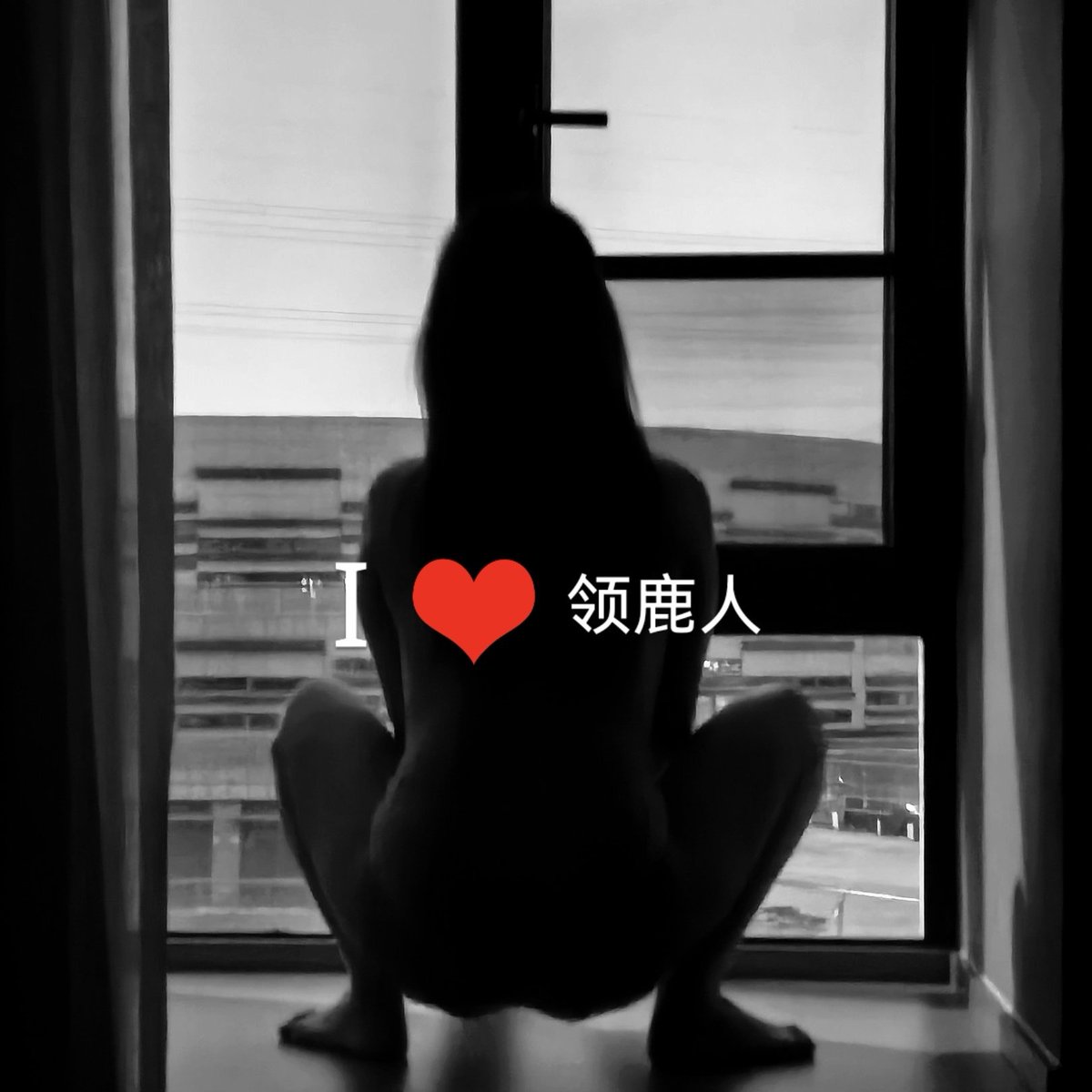 领鹿人 tweet media
