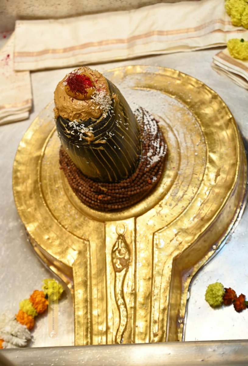 आज श्री काशी विश्वनाथ जी की मंगला आरती, 🙏
#kashi #VishwanathDham #sanatandharma #devotion #darshan