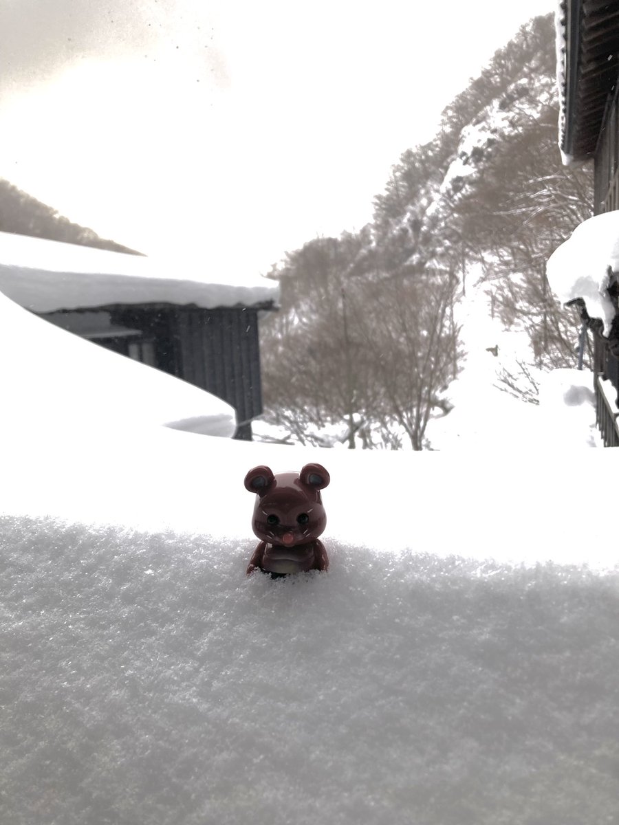 rokkotsumei's tweet photo. 大変な雪だった♨️
逆光の写真を加工する。

#ぎぎのしん
#チュウズ
#リアルヘッド https://t.co/fBzvmQX25k