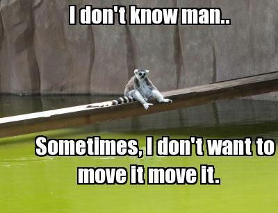 realbobandbrad's tweet photo. When your body’s like "Nope" but you still gotta get moving!
👉 Let’s kick those excuses to the curb and keep the movement going! Who’s with me? 🙋♂️💪
#MoveItMoveIt #LemurVibes #FitnessFun #NoExcuses #StayActive https://t.co/EzHAr4rJTV