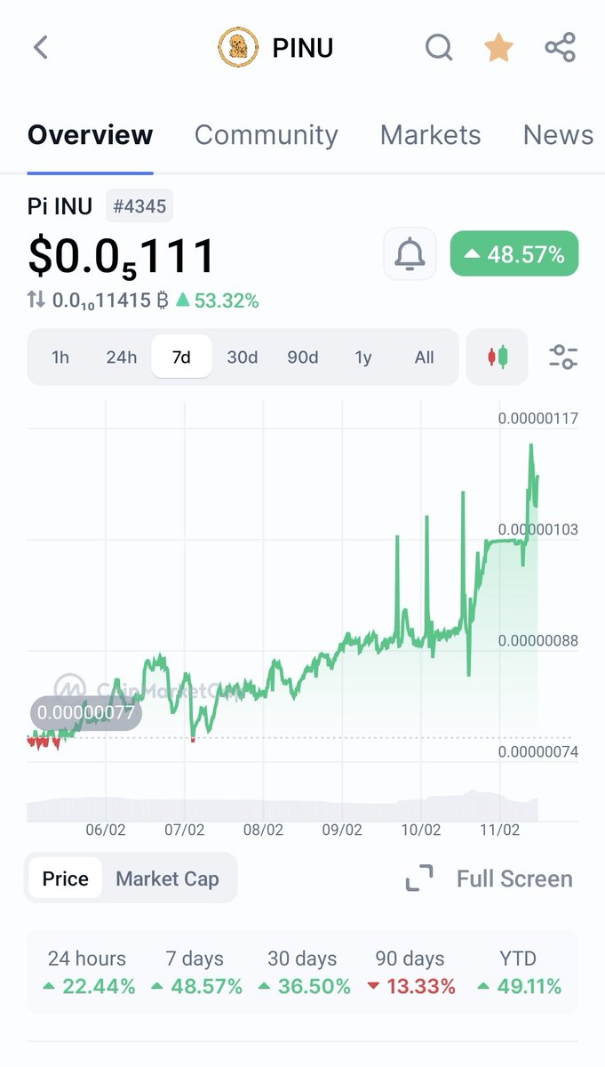 Pi INU Token tweet media