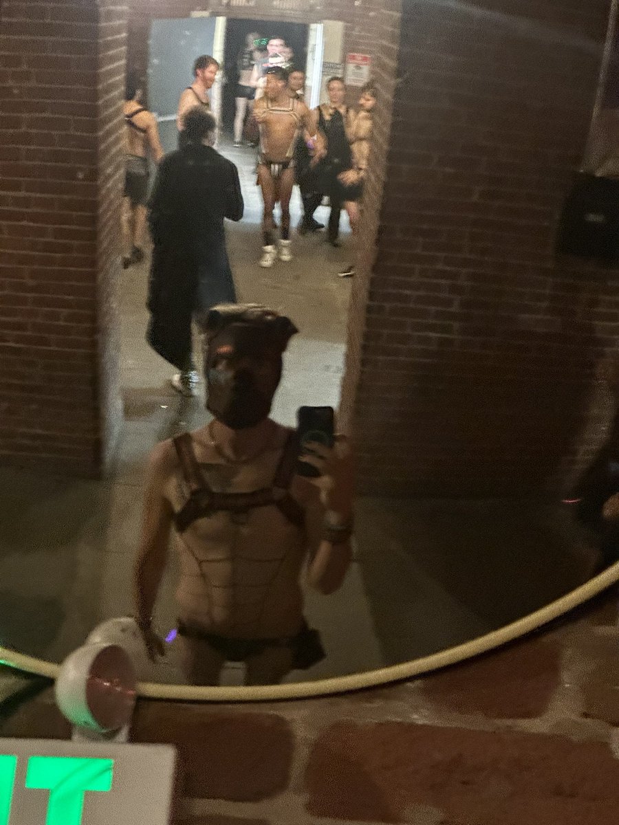 Pup Copper tweet media