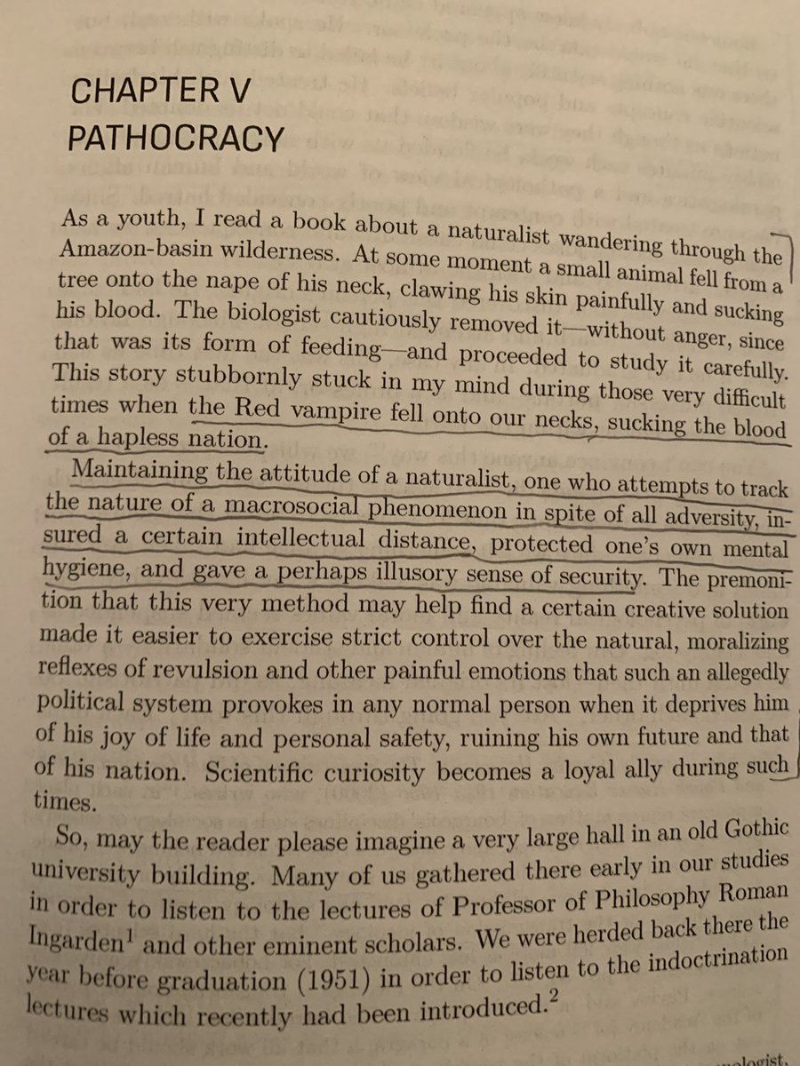 Sebastian Zimmermann tweet media