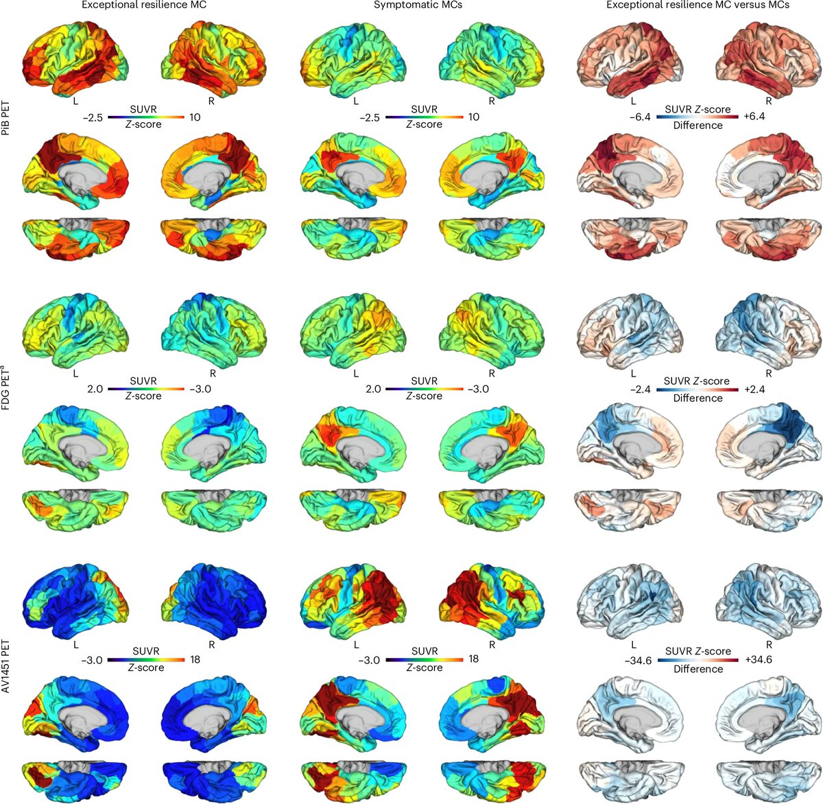 Xihao Li tweet media