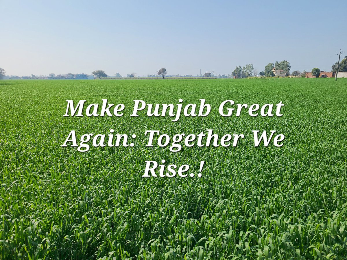 To all the Punjabis left in Punjab. Let's throw the issues aside and make Punjab Great Again.!