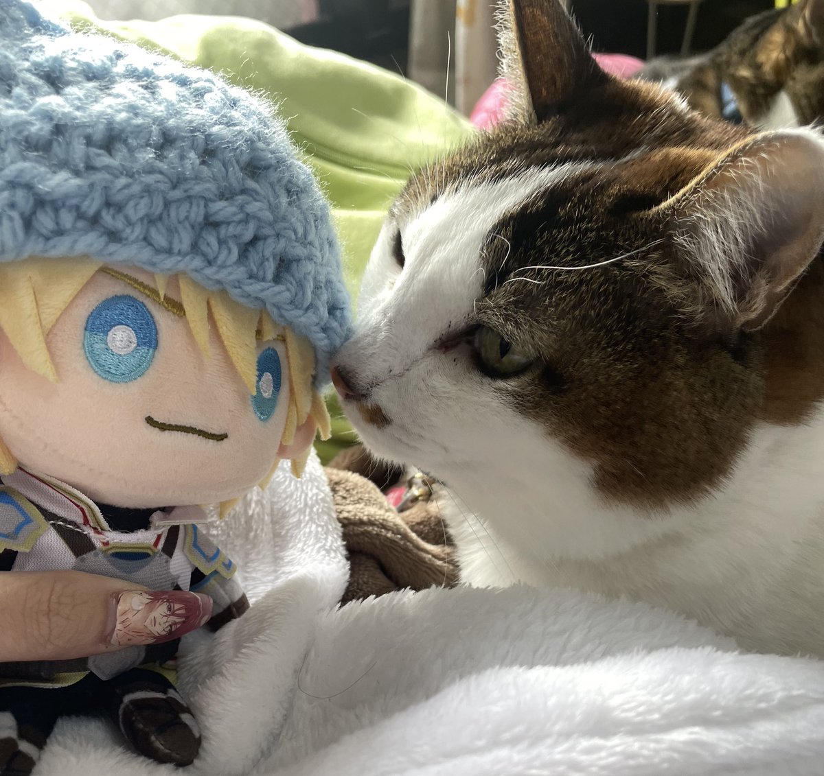 _wan1i's tweet photo. おばあちゃんに作ってもらったロレぬいニット帽と、私がおばあちゃん監修の元初めて編んだえびぬいニット帽🧶🩵🤎

#言いたいことがアルビオ https://t.co/qR12TRUxav