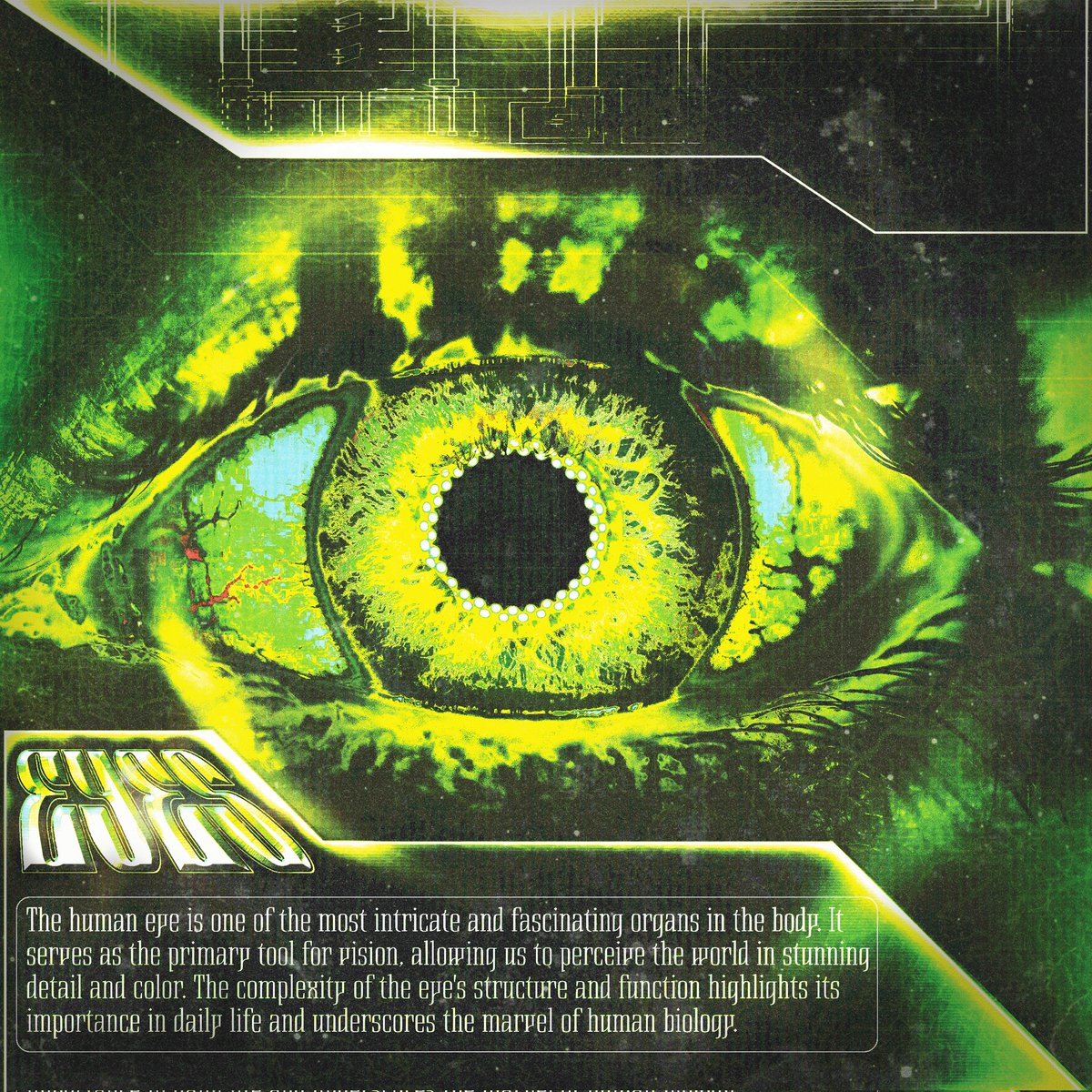 I made something again :D