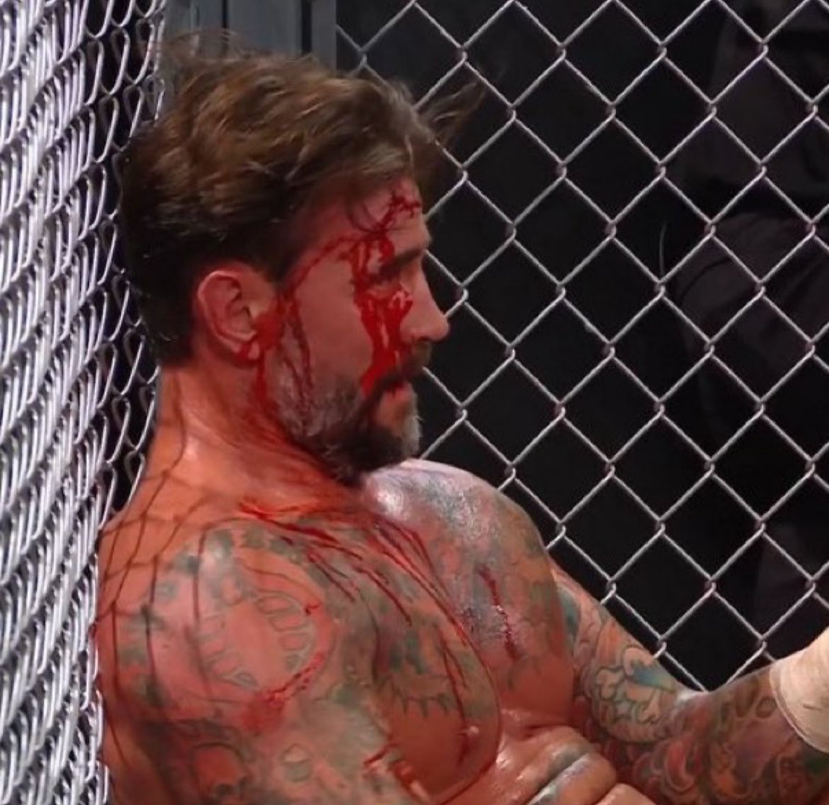 she ✩° 🌿𓏲⋆ tweet media