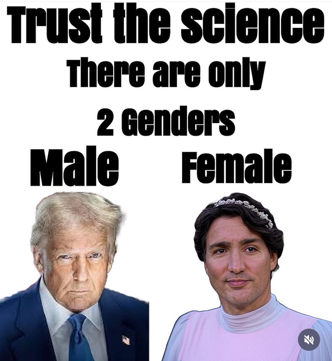 <a href="/CTVNews/">CTV News</a> About bloody time