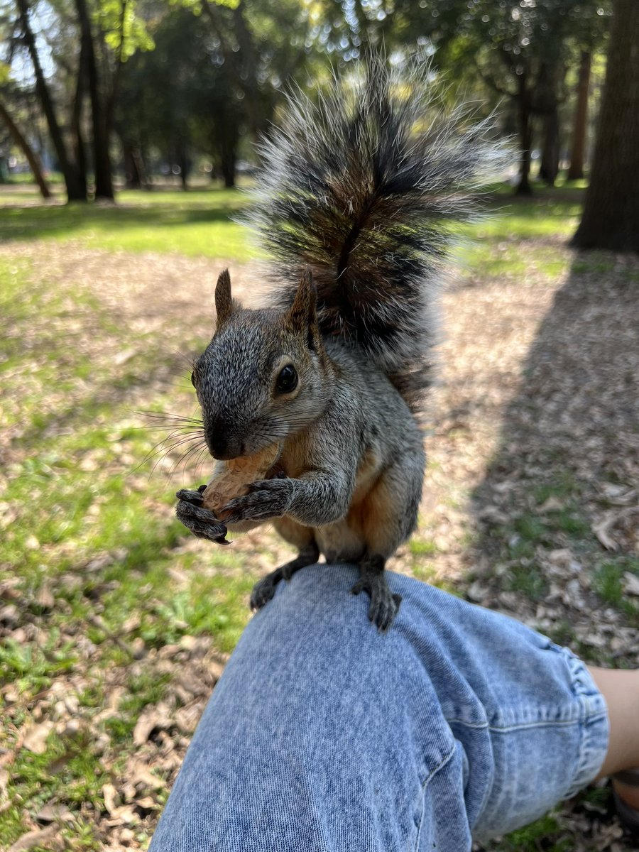 Моя компания в Мехико