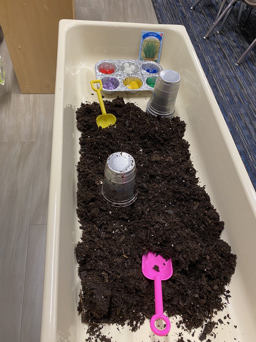 MsFrancos_class's tweet photo. Who doesn’t love to play in dirt?? We are enjoying our new center where we get to explore soil and pretend to plant seeds! We also discuss with our friends what seeds need to grow! #prek #pretendplay #centers https://t.co/3BapE0uTxJ