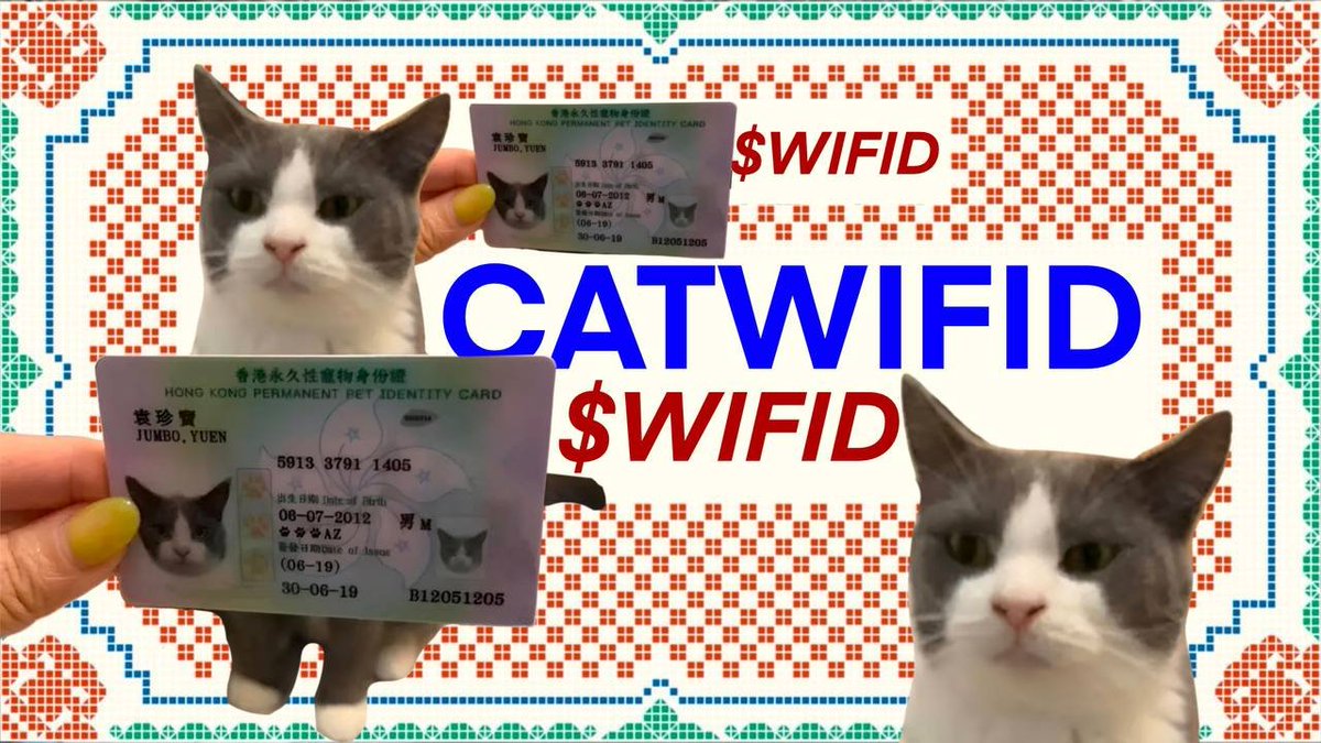 catwifid's tweet photo. it's literally just a cat $wifid

Fm1nD5Zmwo19AjnwAEFkkcM2muCdRWec9AfnxwnQpump https://t.co/n31hQmZrJf