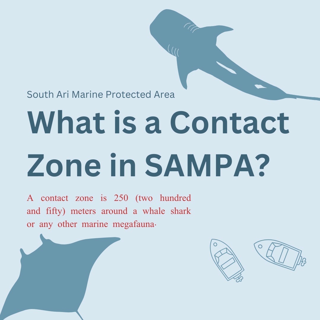 pcamaldives's tweet photo. What is a contact zone with in South Ari Marine Protected Area (SAMPA)? 

A contact zone is 250 (two hundred and fifty) meters around a whale shark or any other marine mega fauna. https://t.co/omMPDO1alT
